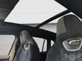 Volkswagen Tiguan 2.0 TDI DSG R-Line LED NAVI AHK PANO DCC Grau - thumbnail 19