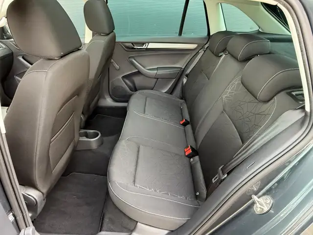 Skoda Rapid view 12