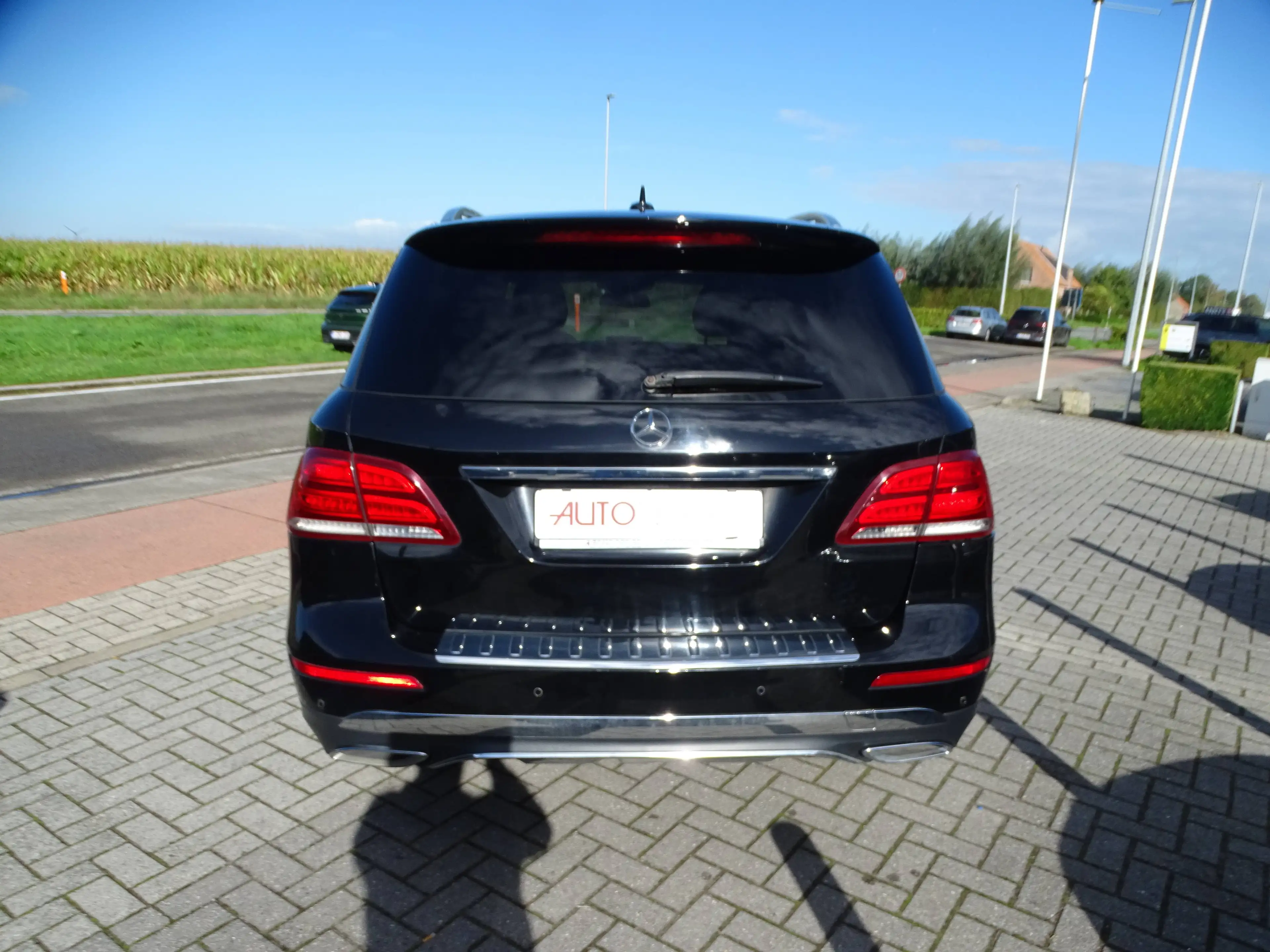 Mercedes-Benz GLE 250 GLE 250 d 4-Matic — photo 14