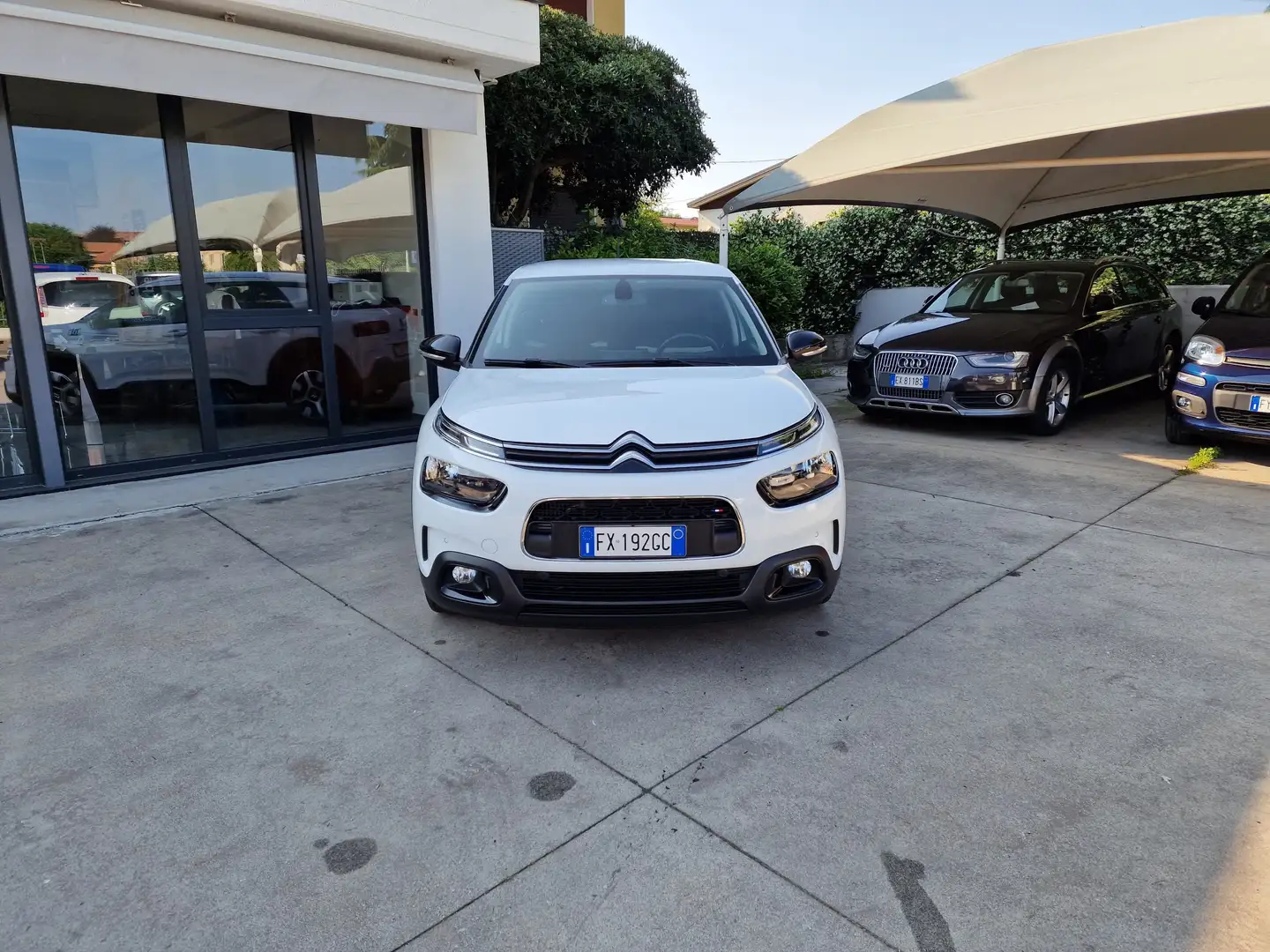 Citroen C4 Cactus 1.6 bluehdi Shine s Weiß - 2