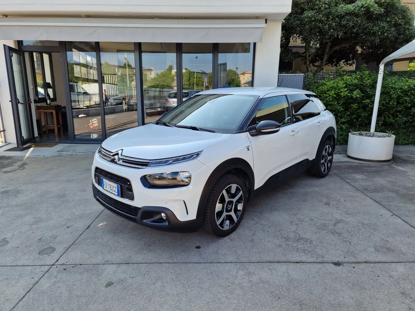Citroen C4 Cactus 1.6 bluehdi Shine s Weiß - 1