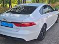 Jaguar XF XF 20d Aut.R-Sport Ingenium Edition Weiß - thumbnail 3