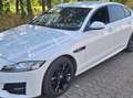 Jaguar XF XF 20d Aut.R-Sport Ingenium Edition Weiß - thumbnail 2