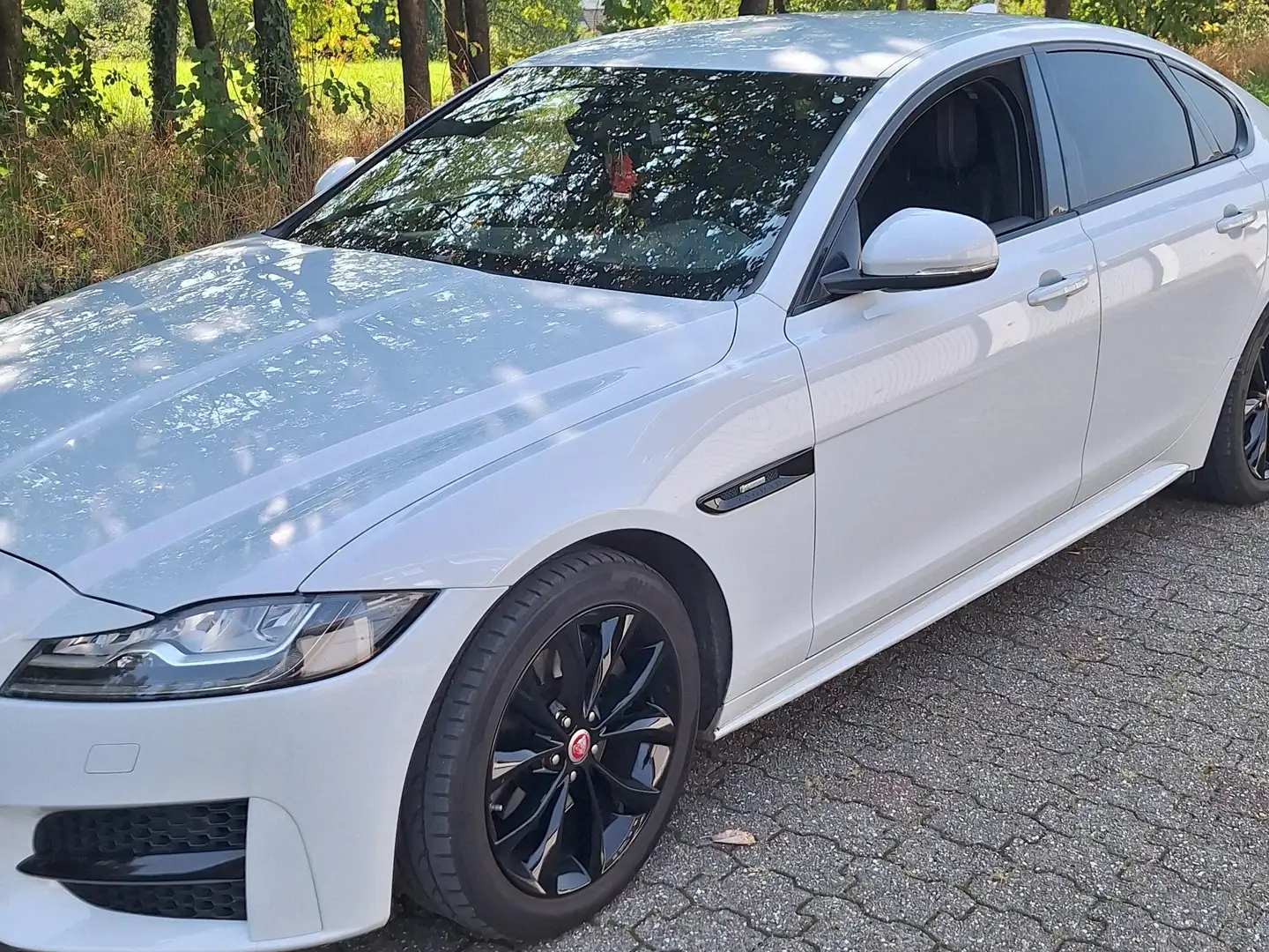 Jaguar XF XF 20d Aut.R-Sport Ingenium Edition Weiß - 2