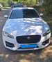 Jaguar XF XF 20d Aut.R-Sport Ingenium Edition Weiß - thumbnail 1