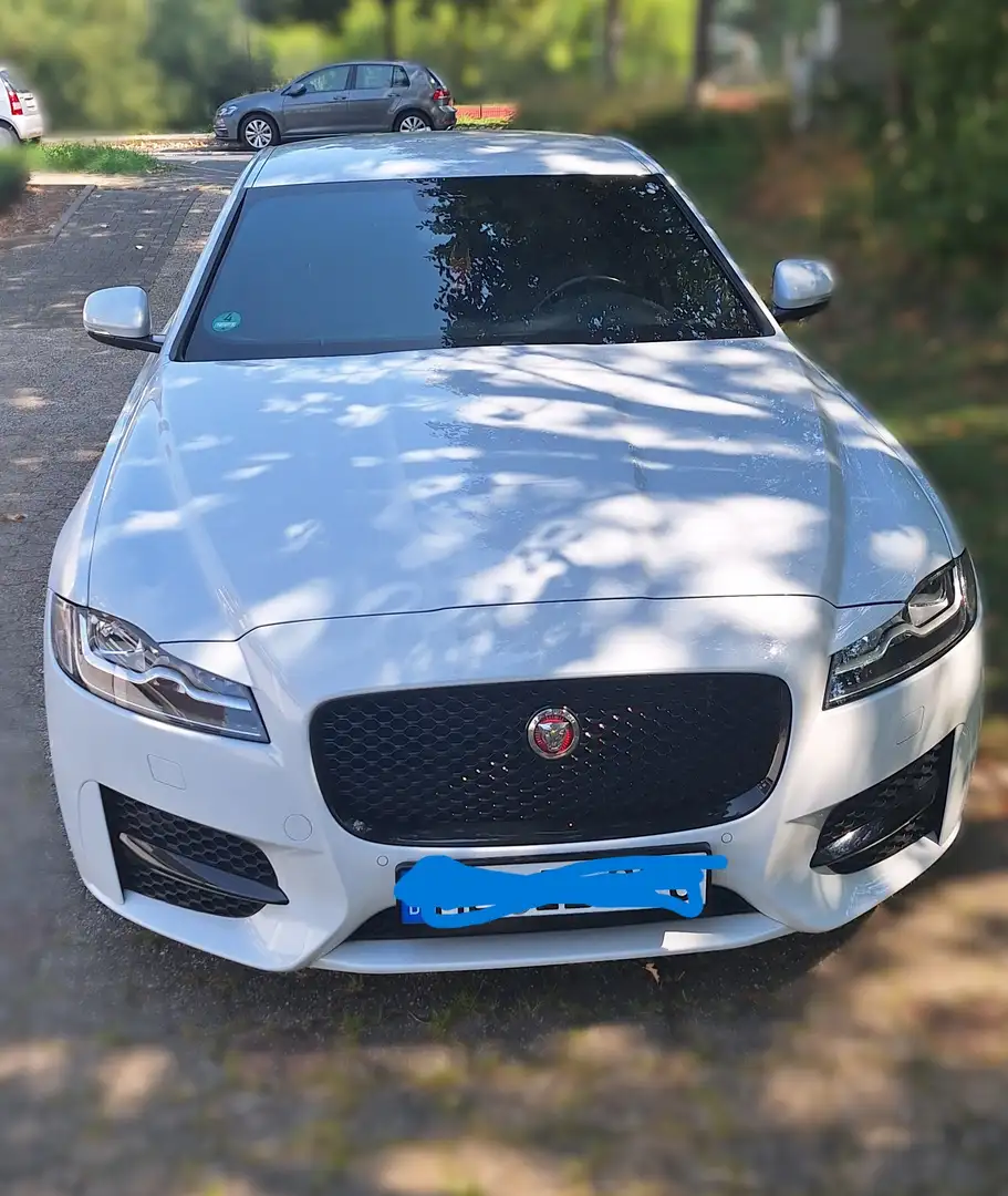 Jaguar XF XF 20d Aut.R-Sport Ingenium Edition Weiß - 1