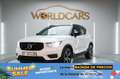 Volvo XC40 T2 R-Design Blanco - thumbnail 1