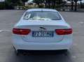 Jaguar XE XE 2.0d Pure edition 180cv auto Blanc - thumbnail 6
