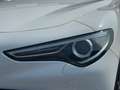 Alfa Romeo Stelvio 2.2 t Business Q4 190cv auto Blanc - thumbnail 2