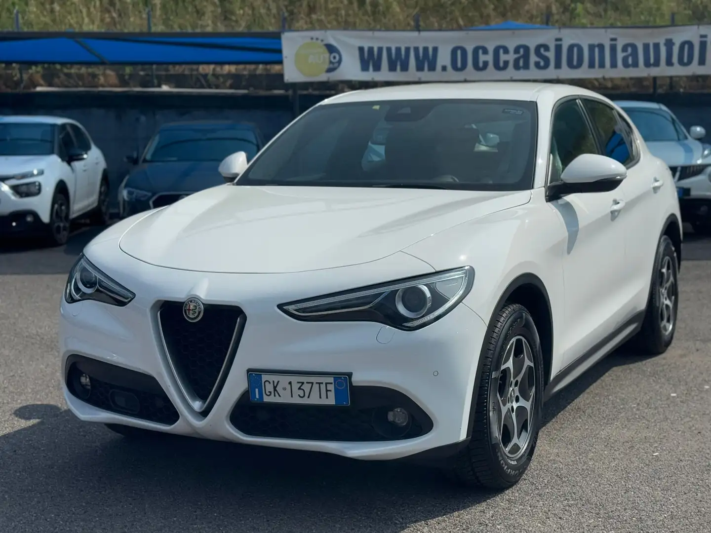 Alfa Romeo Stelvio 2.2 t Business Q4 190cv auto Blanc - 1