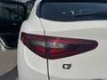 Alfa Romeo Stelvio 2.2 t Business Q4 190cv auto Blanc - thumbnail 5
