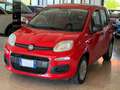 Fiat Panda New 1.2 69 cv. EASY Rosso - thumbnail 2