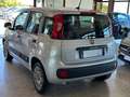 Fiat Panda New 1.2 69 cv. EASY Argento - thumbnail 4