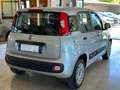 Fiat Panda New 1.2 69 cv. EASY Argento - thumbnail 3