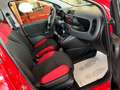 Fiat Panda New 1.2 69 cv. EASY Rosso - thumbnail 14