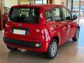 Fiat Panda New 1.2 69 cv. EASY Rosso - thumbnail 4