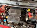 Fiat Panda New 1.2 69 cv. EASY Rosso - thumbnail 6