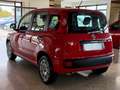 Fiat Panda New 1.2 69 cv. EASY Rosso - thumbnail 4