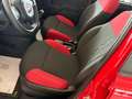Fiat Panda New 1.2 69 cv. EASY Rosso - thumbnail 11