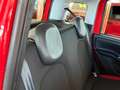 Fiat Panda New 1.2 69 cv. EASY Rosso - thumbnail 13