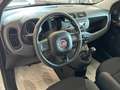 Fiat Panda New 1.2 69 cv. EASY Argento - thumbnail 8