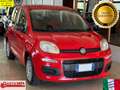 Fiat Panda New 1.2 69 cv. EASY Rosso - thumbnail 1