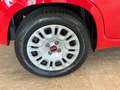 Fiat Panda New 1.2 69 cv. EASY Rosso - thumbnail 5