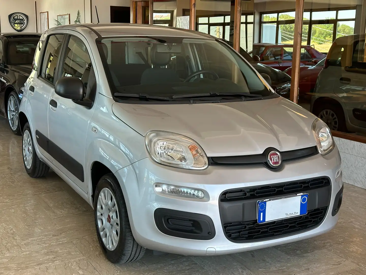 Fiat Panda New 1.2 69 cv. EASY Argento - 2