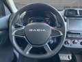 Dacia Spring Extreme ELECTRIC 65 Rückfahrkamera PDC ABS Grau - thumbnail 11