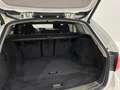 BMW 316 Touring Sport Bianco - thumbnail 14