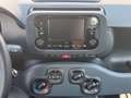 Fiat Panda Panda 1.0 FireFly S&S Hybrid Blau - thumbnail 12