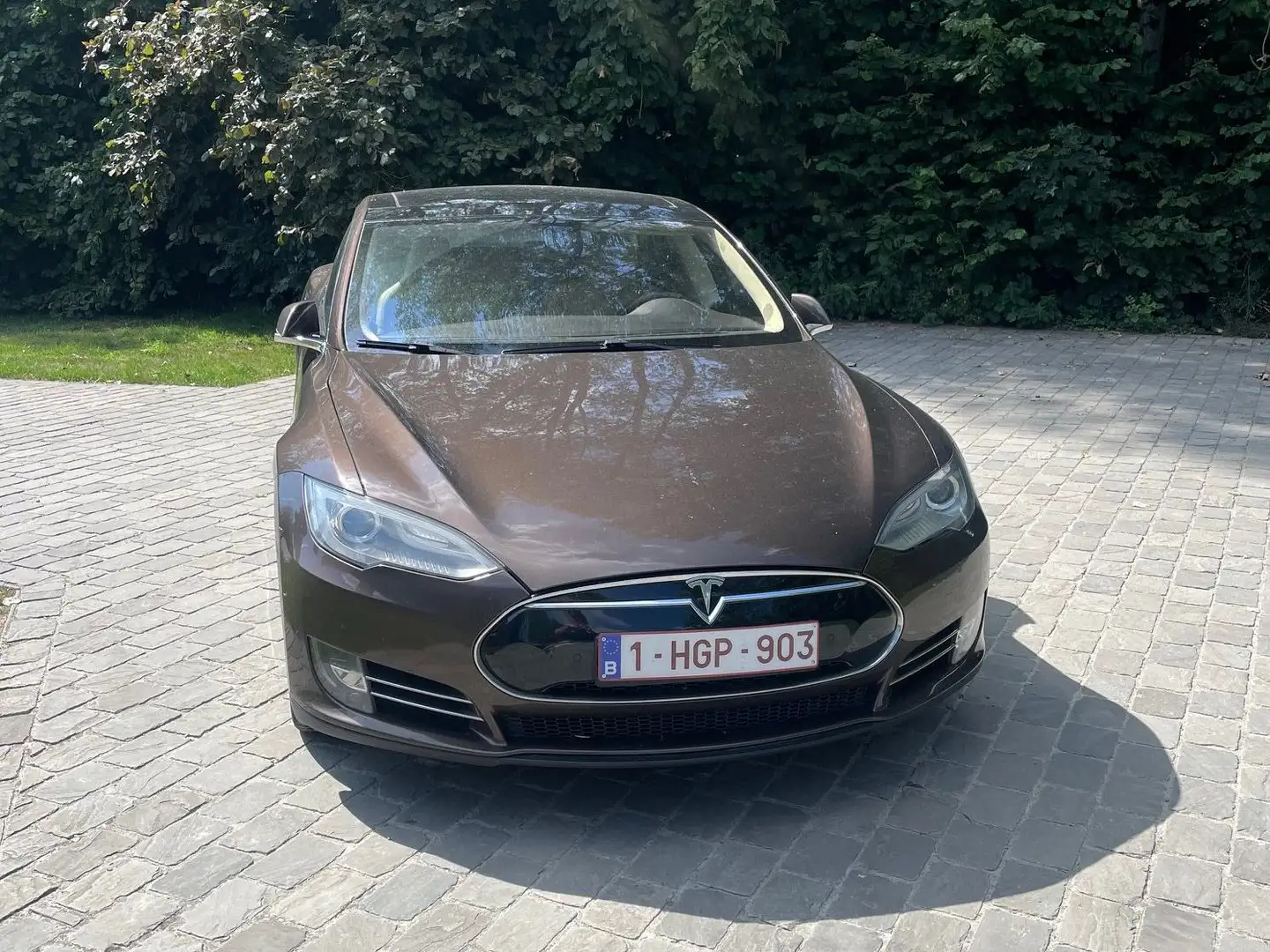 Tesla Model S Model S Performance - 1