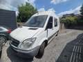 Mercedes-Benz Sprinter 313 CDI Double  cabine problème moteur Blanc - thumbnail 6
