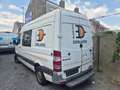 Mercedes-Benz Sprinter 313 CDI Double  cabine problème moteur Blanc - thumbnail 4