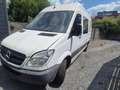 Mercedes-Benz Sprinter 313 CDI Double  cabine problème moteur Blanc - thumbnail 12