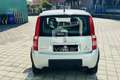 Fiat Panda Panda 1.2 Climbing Natural Power Argent - thumbnail 5