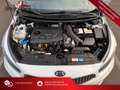 Kia Ceed SW / cee'd SW GT-LINE/NAVI/LED/PANO/KAMERA White - thumbnail 22