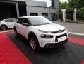 Citroen C4 Cactus BLUEHDI 100 SS BVM6 FEEL Blanc - thumbnail 3