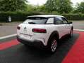 Citroen C4 Cactus BLUEHDI 100 SS BVM6 FEEL Blanc - thumbnail 4