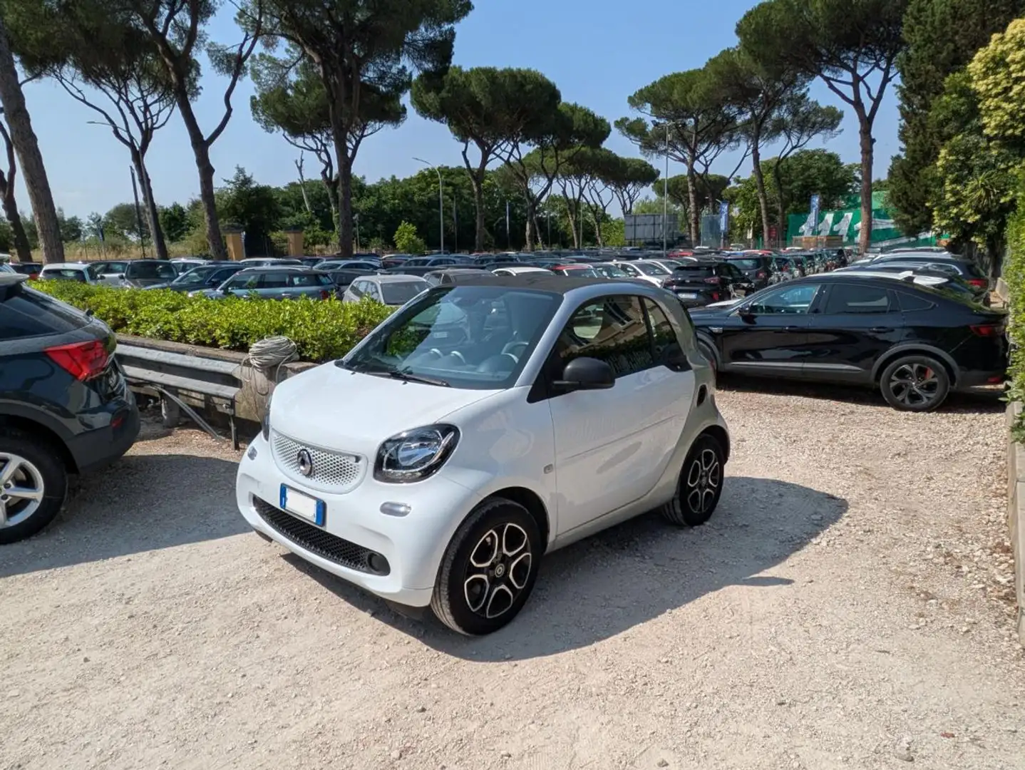 smart forTwo TWINAMIC YOUNGSTER 1.0cc 71cv TELECAMERA Bianco - 1