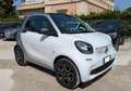 smart forTwo TWINAMIC YOUNGSTER 1.0cc 71cv TELECAMERA Bianco - thumbnail 3