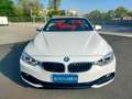 BMW 430 Serie 4 F33 2013 Cabrio 430dA Cabrio Msport Weiß - thumbnail 2