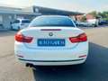 BMW 430 Serie 4 F33 2013 Cabrio 430dA Cabrio Msport Weiß - thumbnail 5