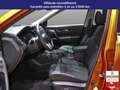 Nissan X-Trail 1.6 dCi 130 Xtronic 5pl - Business Edition Blanc - thumbnail 8