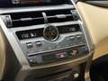 Lexus NX 300h AWD Luxury Line | 116.000km | Schuifdak | Apple Ca Braun - thumbnail 25