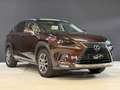 Lexus NX 300h AWD Luxury Line | 116.000km | Schuifdak | Apple Ca Braun - thumbnail 6