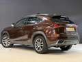 Lexus NX 300h AWD Luxury Line | 116.000km | Schuifdak | Apple Ca Braun - thumbnail 12
