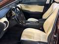 Lexus NX 300h AWD Luxury Line | 116.000km | Schuifdak | Apple Ca Braun - thumbnail 7