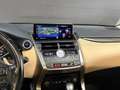 Lexus NX 300h AWD Luxury Line | 116.000km | Schuifdak | Apple Ca Braun - thumbnail 16