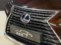 Lexus NX 300h AWD Luxury Line | 116.000km | Schuifdak | Apple Ca Braun - thumbnail 36